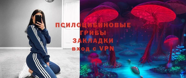 ECSTASY Лагань