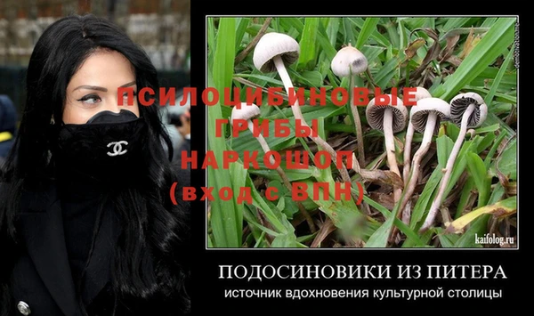 ECSTASY Лагань