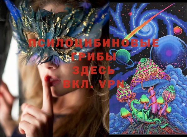 ECSTASY Лагань