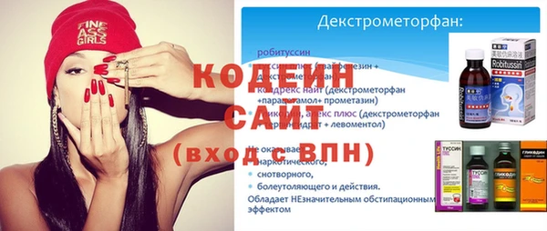 ECSTASY Лагань