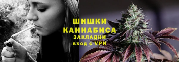 ECSTASY Лагань