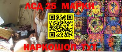 PSILOCYBIN Дубна