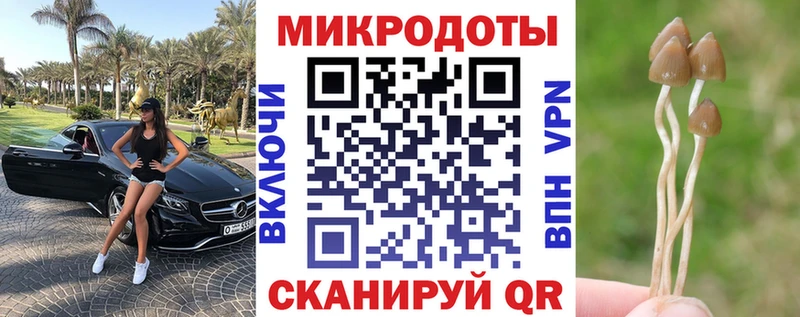 где купить наркоту  Михайловка  Псилоцибиновые грибы Magic Shrooms 