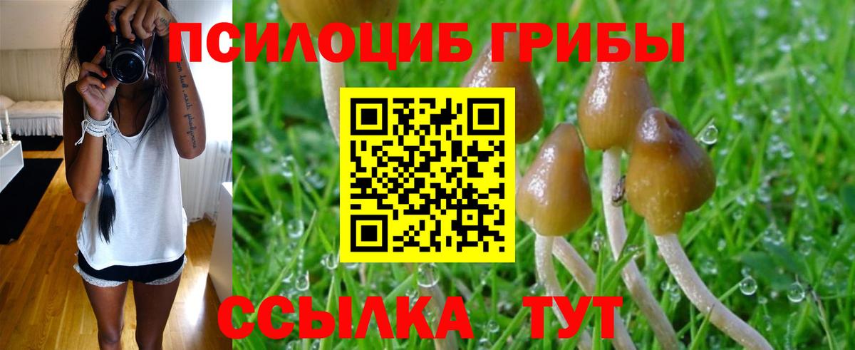 Галлюциногенные грибы Magic Shrooms Михайловка